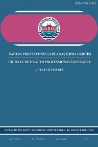 Sağlık Profesyonelleri Araştırma Dergisi kapağı