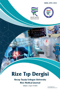 Rize Tıp Dergisi kapağı
