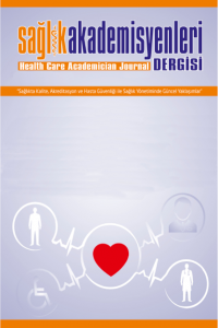 Sağlık Akademisyenleri Dergisi kapağı