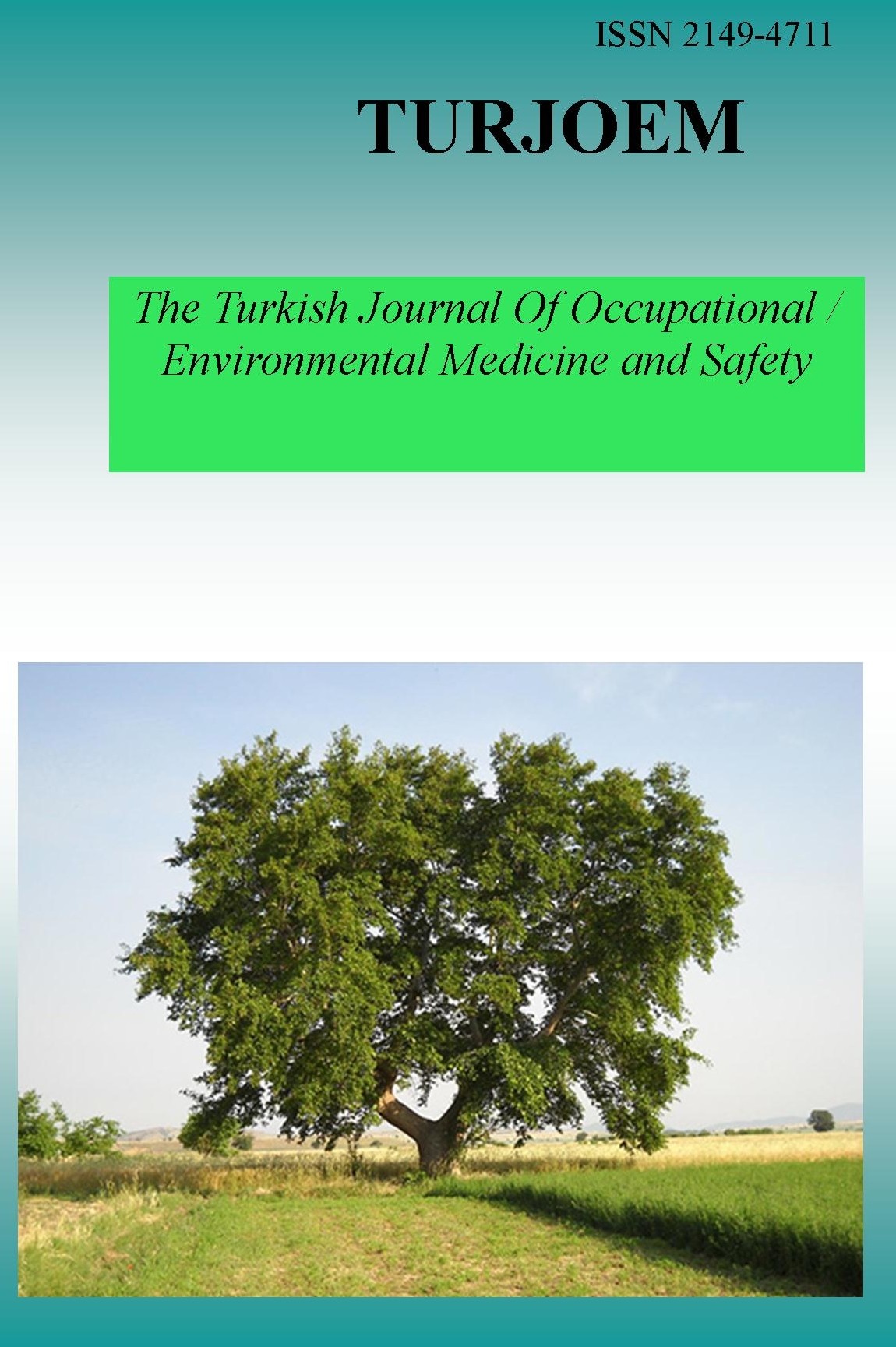 The Turkish Journal Of Occupational / Environmental Medicine and Safety kapağı