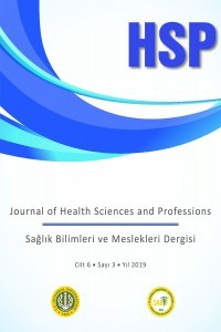 Sağlık Bilimleri ve Meslekleri Dergisi kapağı