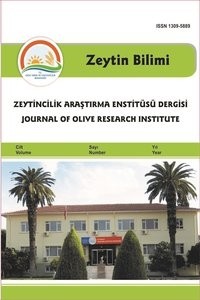 Zeytin Bilimi kapağı