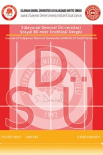 Süleyman Demirel Üniversitesi Sosyal Bilimler Enstitüsü Dergisi kapağı