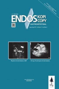 Endoskopi Gastrointestinal kapağı