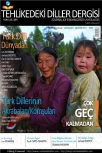 Tehlikedeki Diller Dergisi kapağı