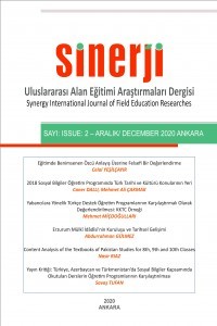 Sinerji Uluslararası Alan Eğitimi Araştırmaları Dergisi kapağı