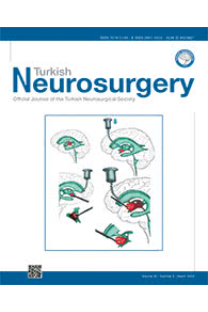Turkish Neurosurgery kapağı