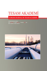 TESAM Akademi Dergisi kapağı