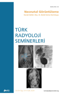 Türk Radyoloji Seminerleri kapağı