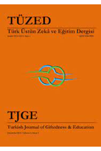 Türk Üstün Zeka ve Eğitim Dergisi kapağı