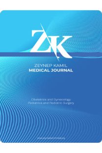 Zeynep Kamil Tıp Bülteni kapağı