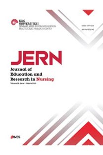 Koç Üniversitesi Hemşirelikte Eğitim ve Araştırma Dergisi kapağı